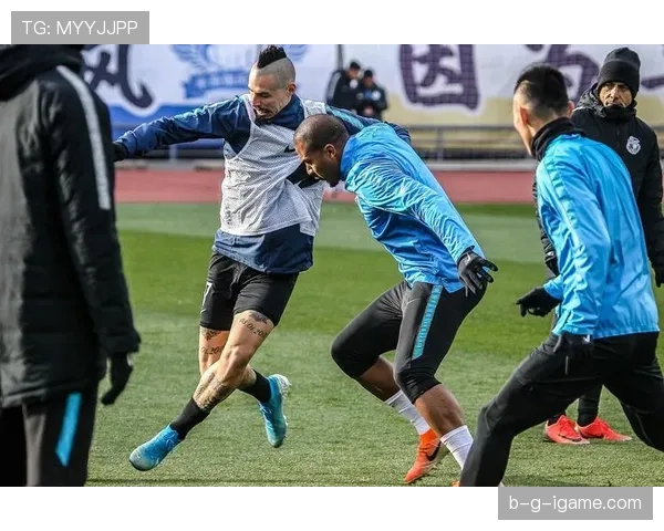 多特蒙德重振旗鼓：战术革新助推球队重返争冠行列