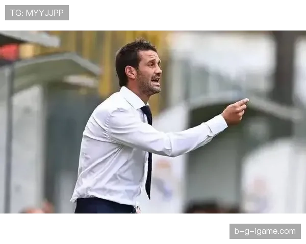 意甲争冠进入白热化阶段,多队状态回升激战正酣 意甲争冠进入白热化阶段,多队状态回升激战正酣